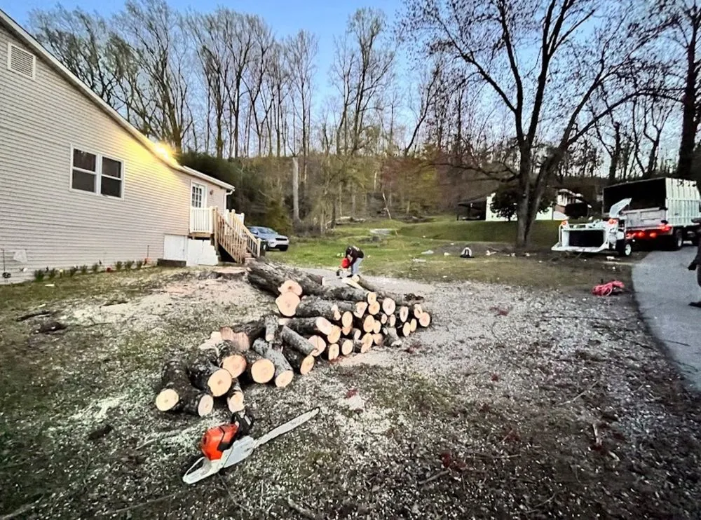 Reliable landscape installation in Coatesville, PA - ABB Tree Services