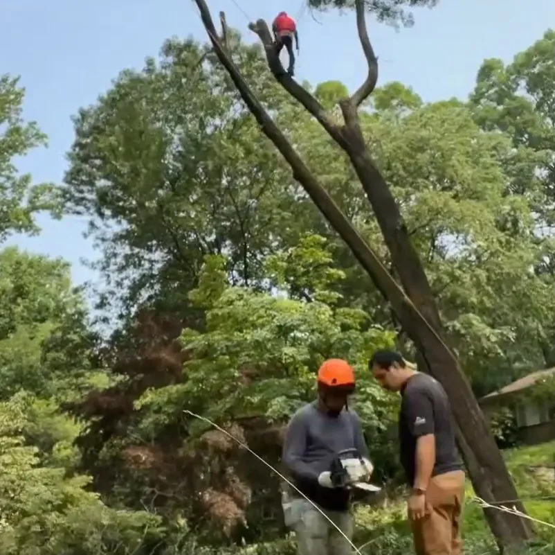 Professional lawn mowing service near you across Coatesville, PA - ABB Tree Services