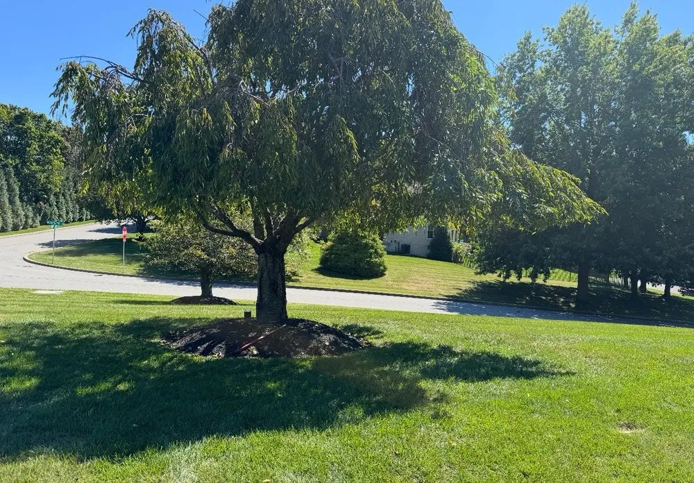 Expert landscape design for beautiful yards across Coatesville, PA - ABB Tree Services