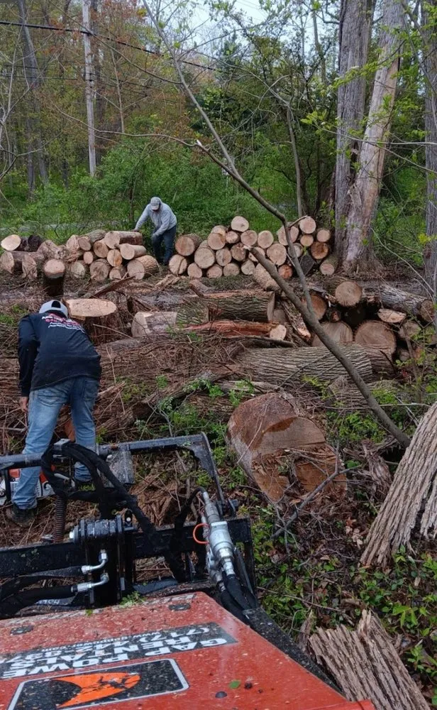 Reliable lawn care service for year-round maintenance in Coatesville, PA by ABB Tree Services