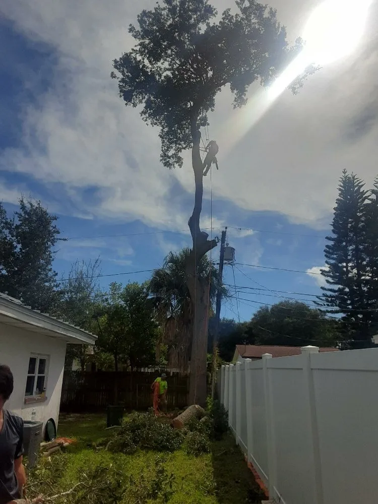 Affordable yard maintenance for beautiful yards across Clearwater, FL - Abba Agapa Tree And Landscaping Expert