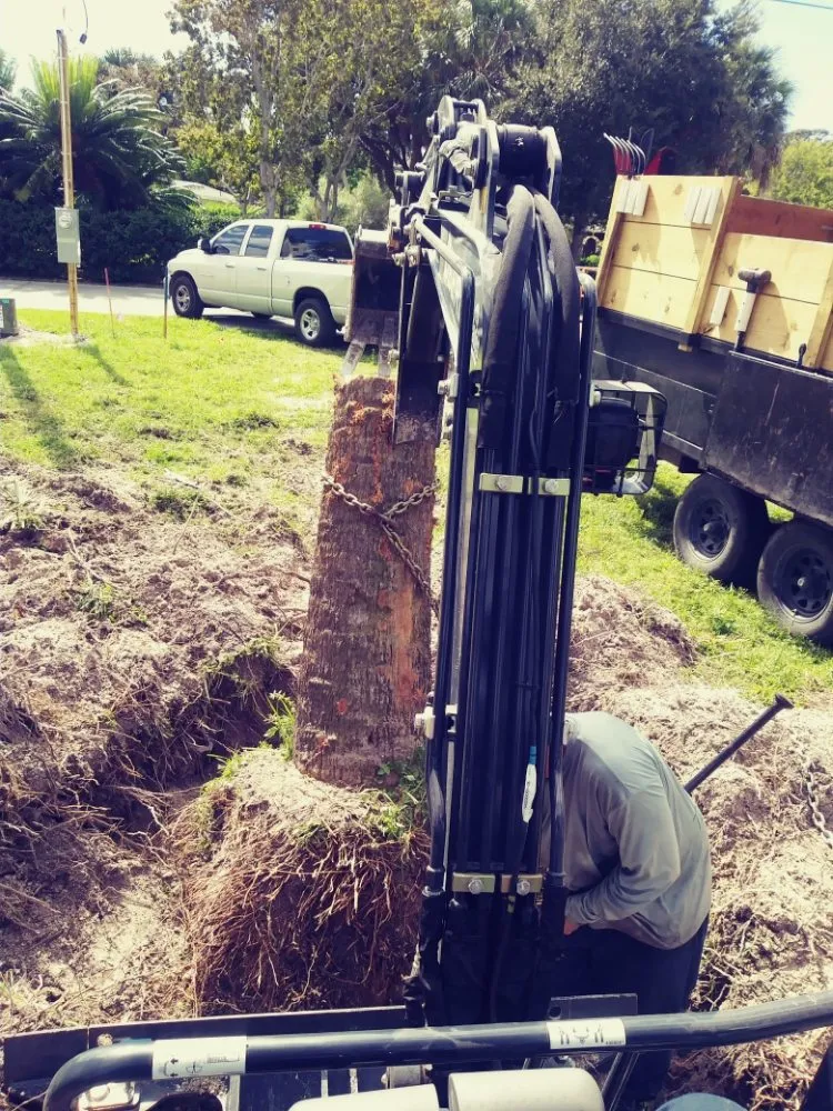 Top-rated landscape installation with custom design in Clearwater, FL by Abba Agapa Tree And Landscaping Expert