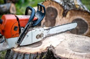 Custom lawn mowing service for beautiful yards across Clearwater, FL - Abba Agapa Tree And Landscaping Expert