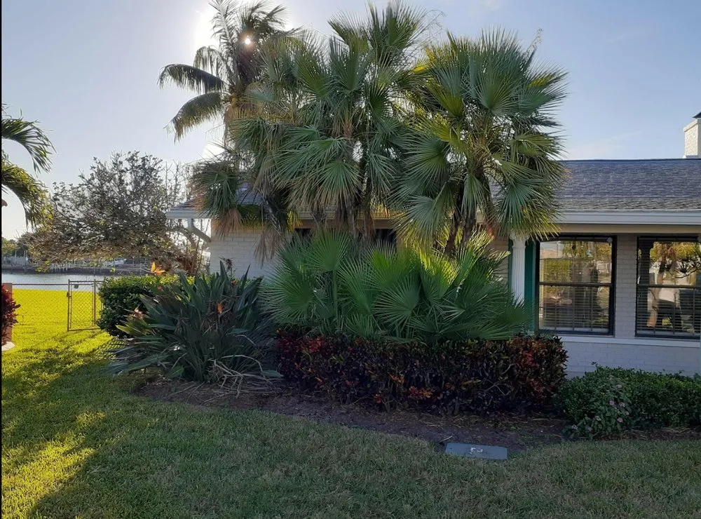 Reliable lawn mowing service for beautiful yards in Clearwater, FL by Abba Agapa Tree And Landscaping Expert