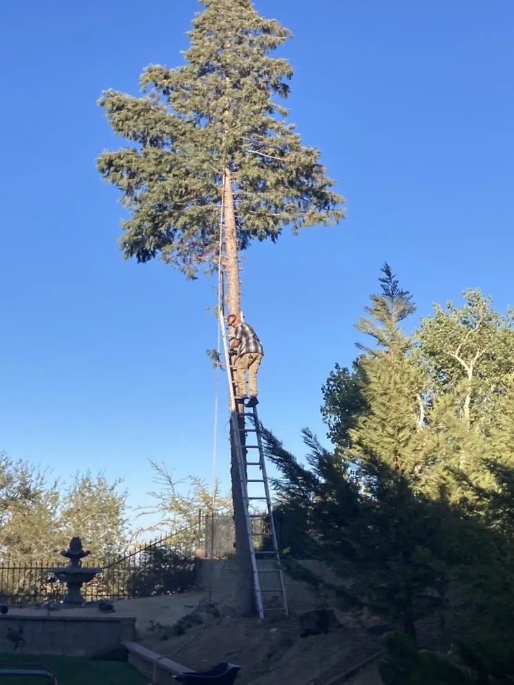 Trusted lawn care service experts serving Lake Los Angeles, CA - Abba Dabba Yard Restoration