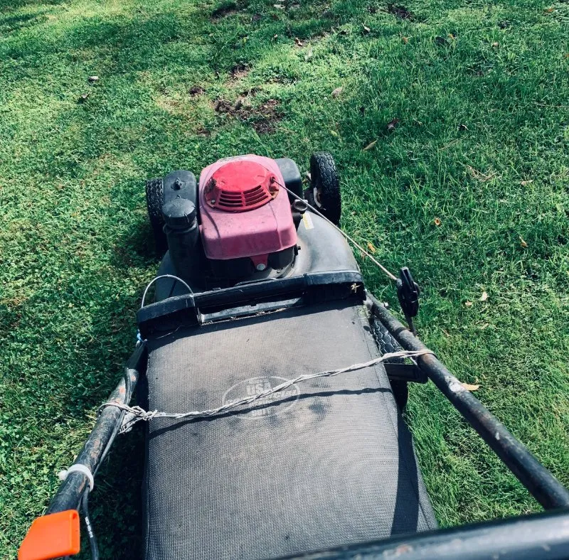 Local lawn mowing service for year-round maintenance in Salinas, CA by Abba Landscaping Maintenance