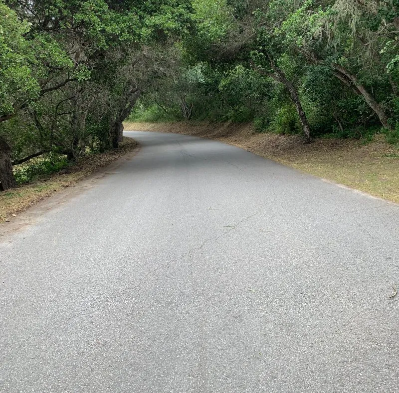 Professional yard maintenance for beautiful yards across Salinas, CA - Abba Landscaping Maintenance