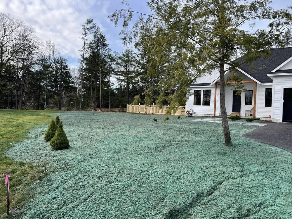 Expert landscaping services for year-round maintenance across Needham Heights, MA - Abba Landscaping