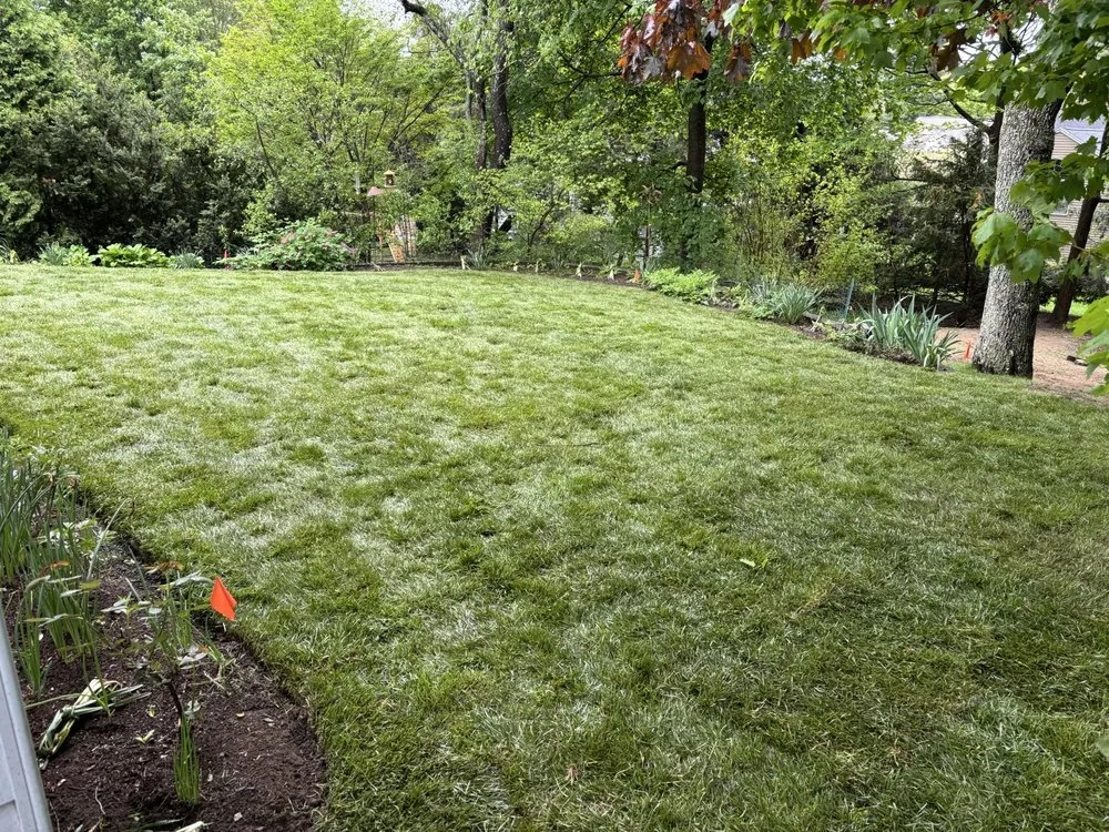 Affordable lawn mowing service for residential properties in Needham Heights, MA by Abba Landscaping