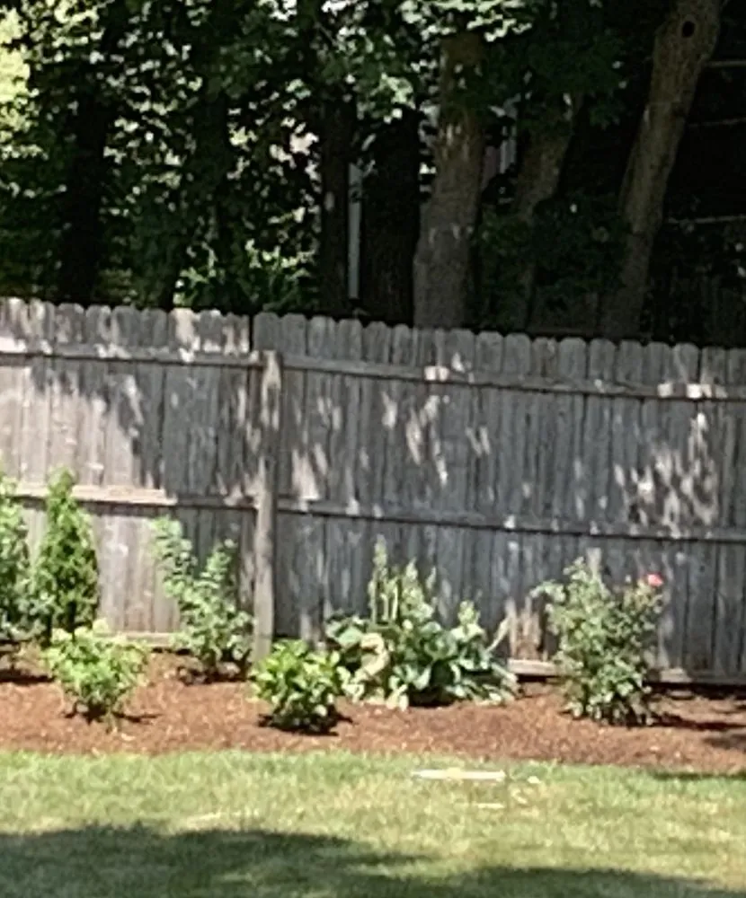 Affordable yard cleanup service with custom design in Needham Heights, MA by Abba Landscaping
