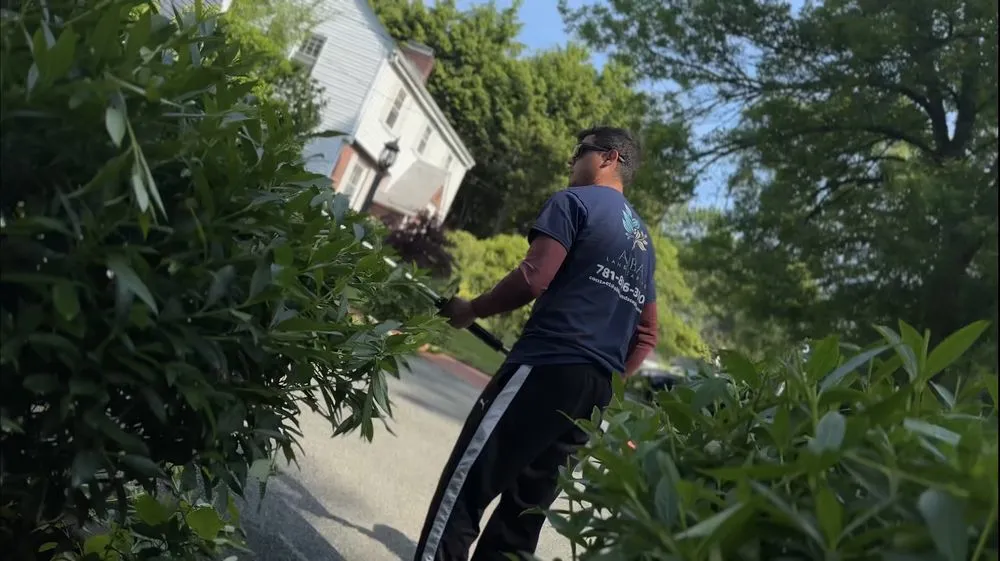 Professional yard maintenance in Needham Heights, MA - Abba Landscaping