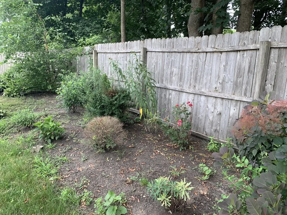 Reliable landscaping services in Needham Heights, MA - Abba Landscaping