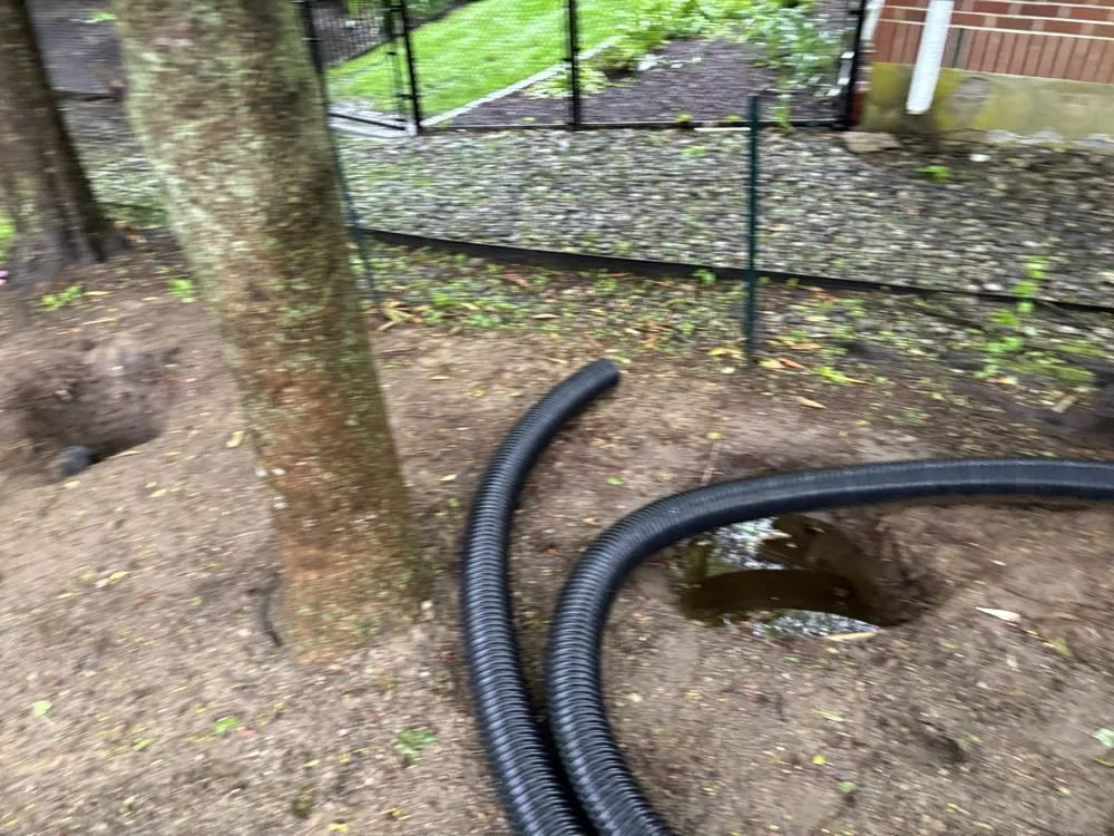 Top-rated lawn mowing service in Needham Heights, MA by Abba Landscaping