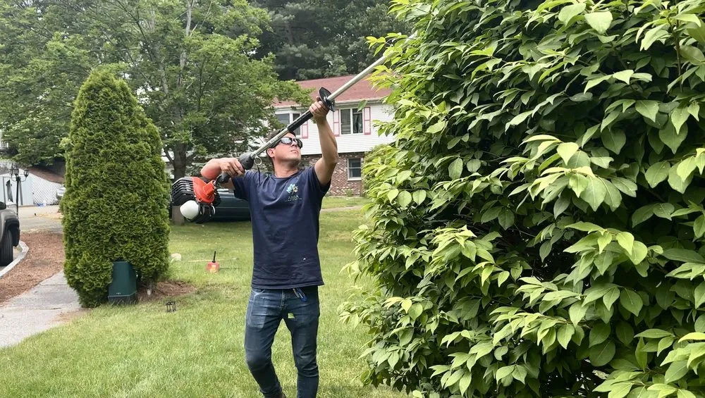 Professional yard cleanup service for beautiful yards across Needham Heights, MA - Abba Landscaping