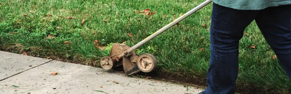 Trusted yard maintenance in San Antonio, TX by Abba Lawn Care Services