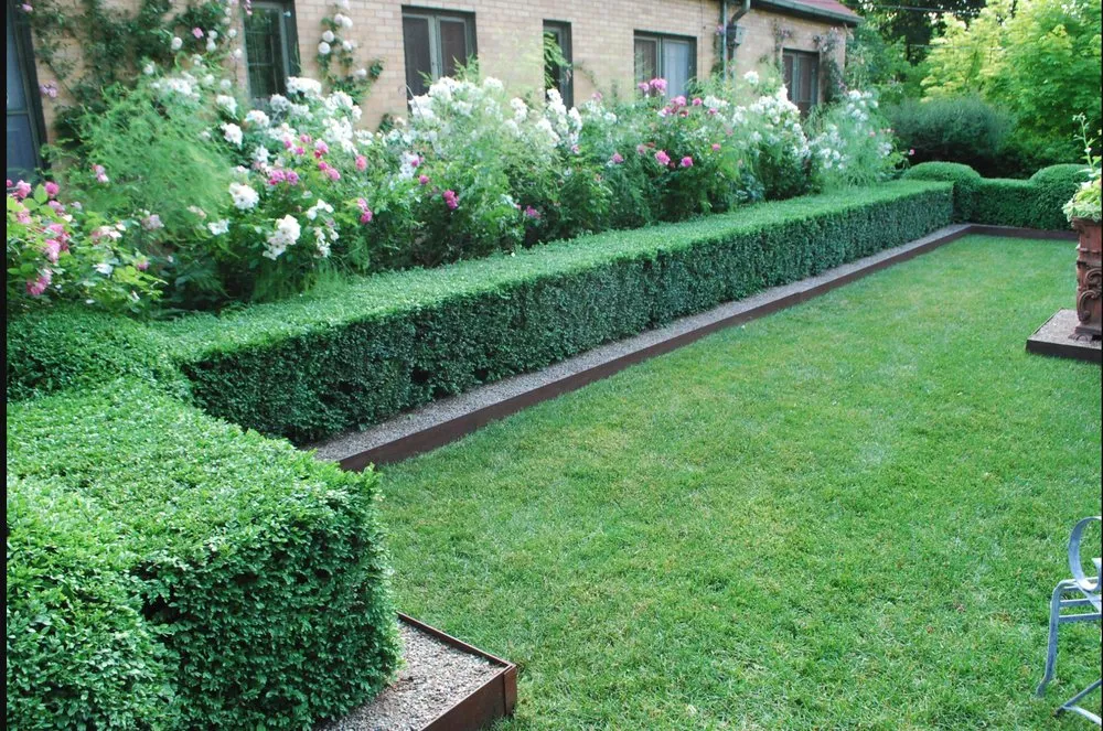 Reliable lawn mowing service in San Antonio, TX by Abba Lawn Care Services