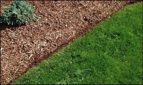 Professional landscaping services with custom design across San Antonio, TX - Abba Lawn Care Services