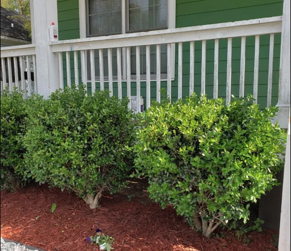 Professional garden landscaping for beautiful yards across San Antonio, TX - Abba Lawn Care Services