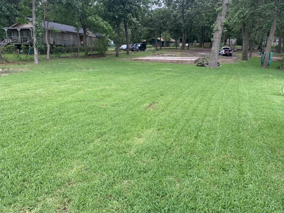 Trusted landscaping services experts serving Joshua, TX - Abbi Affordable Lawn Service