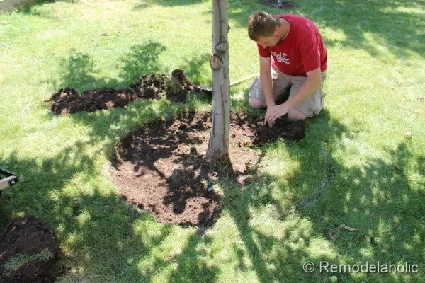 Local landscape design in Bernardsville, NJ by Abbondanzos Landscape & Design
