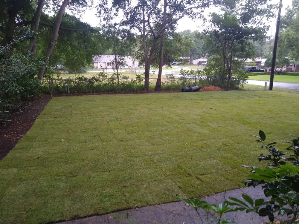 Trusted yard maintenance in Altamonte Springs, FL by Abbott Lawn Care