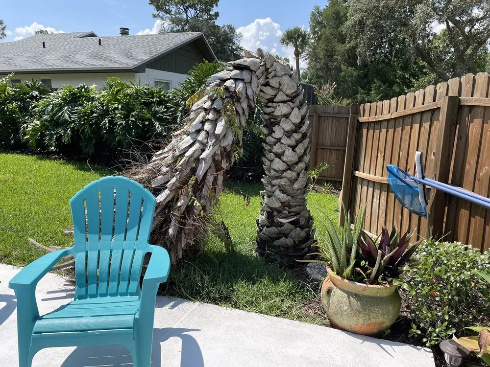 Expert yard cleanup service for outdoor upgrades in Altamonte Springs, FL by Abbott Lawn Care