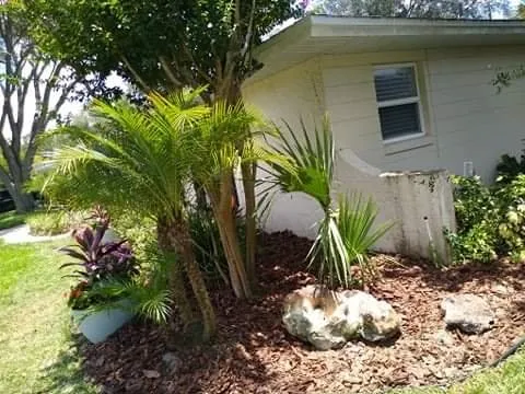 Local landscaping services experts serving Altamonte Springs, FL - Abbott Lawn Care