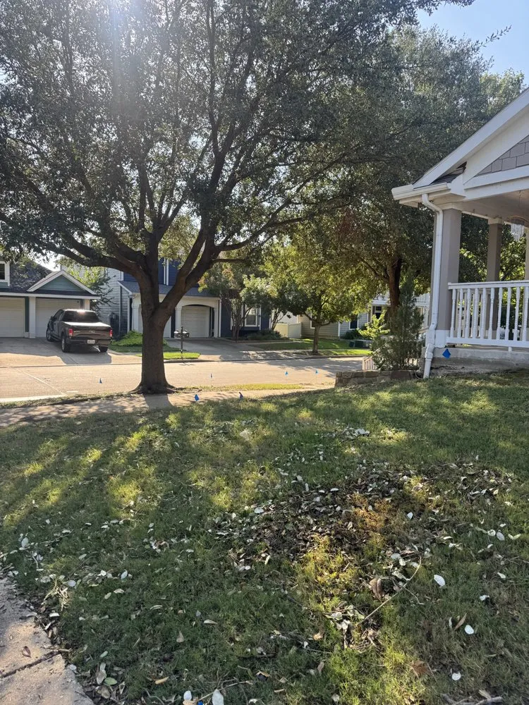 Affordable garden landscaping for year-round maintenance across Aubrey, TX - Abbott’s Haul Off & Transport