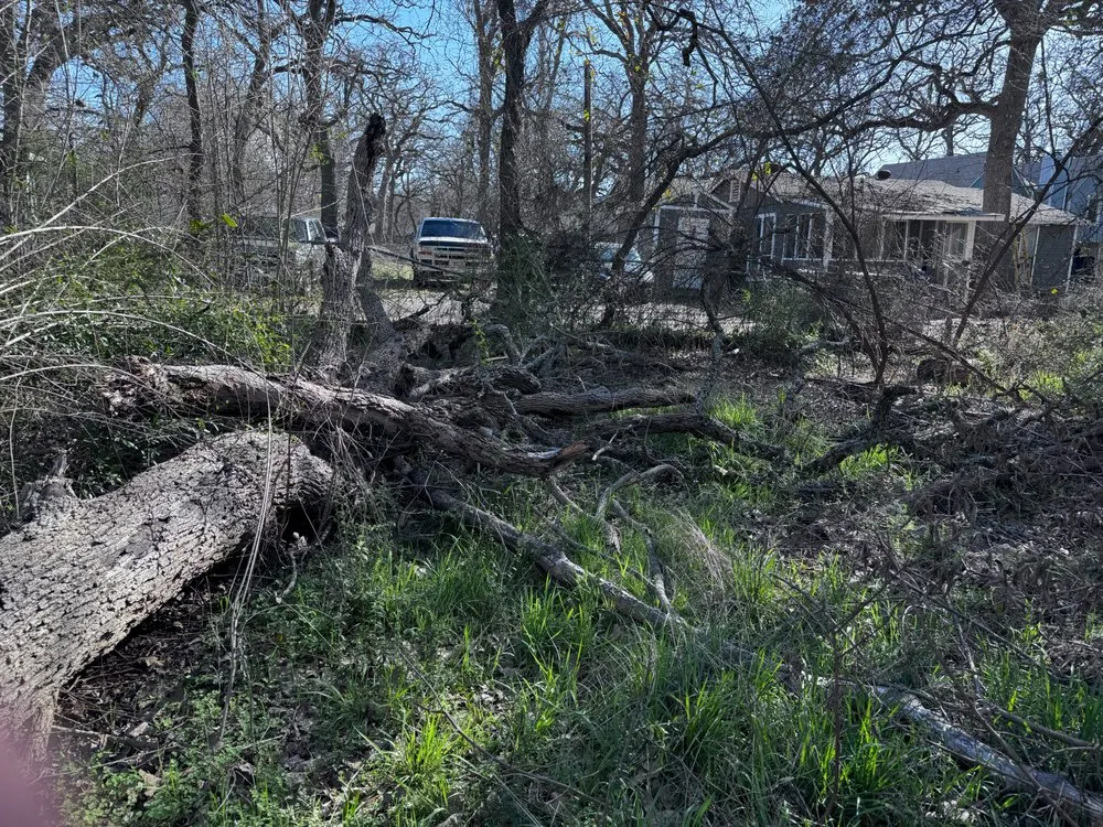 Top-rated yard cleanup service for beautiful yards in Aubrey, TX by Abbott’s Haul Off & Transport