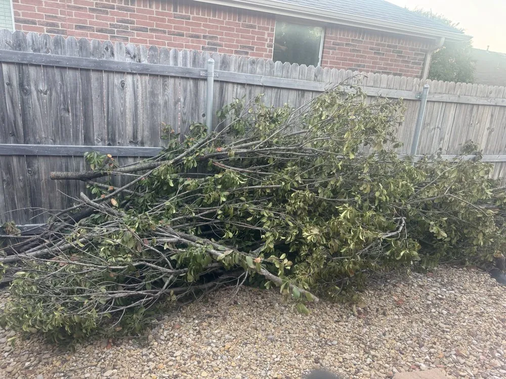 Top-rated yard maintenance in Aubrey, TX by Abbott’s Haul Off & Transport