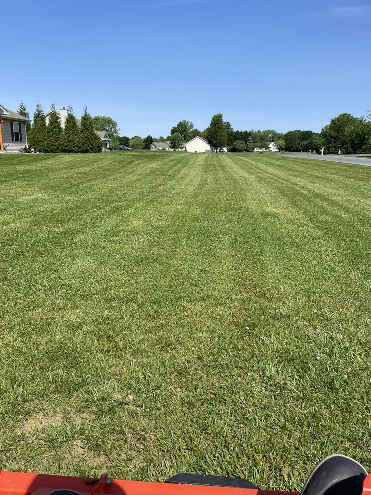 Professional landscape design for beautiful yards across Clayton, DE - Abbott’s Lawn Care