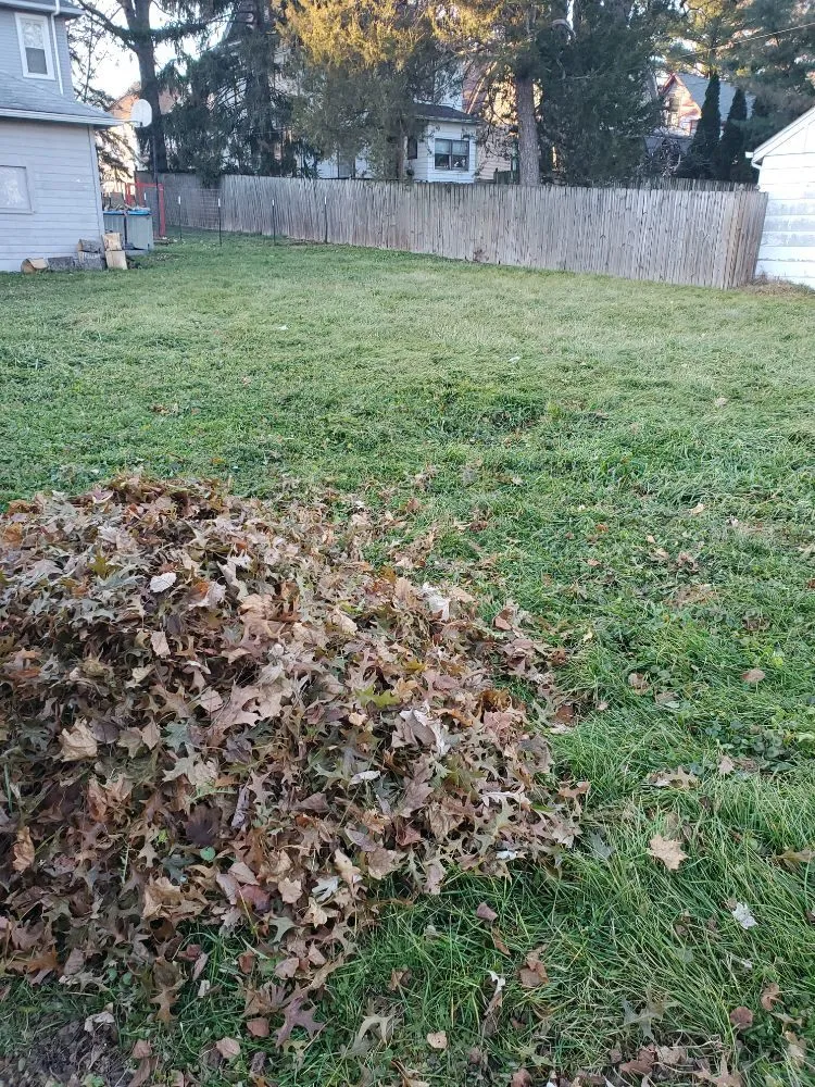 Trusted landscaping services in Davenport, IA by Abbotts Lawncare