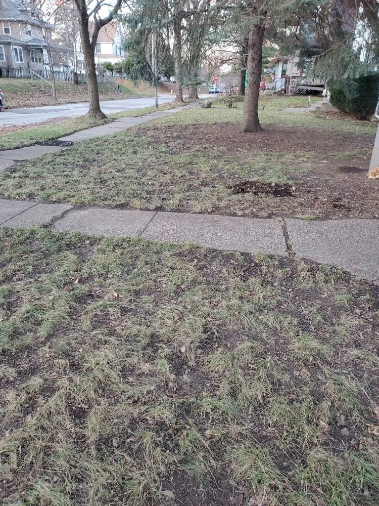 Professional yard maintenance near you across Davenport, IA - Abbotts Lawncare