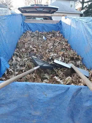 Abbotts Lawncare Logo