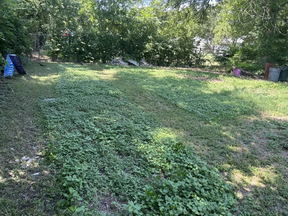 Local yard cleanup service experts serving San Antonio, TX - Abby & Mike Landscaping