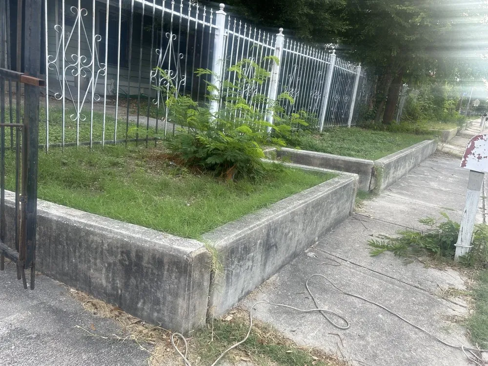 Reliable yard cleanup service for year-round maintenance across San Antonio, TX - Abby & Mike Landscaping