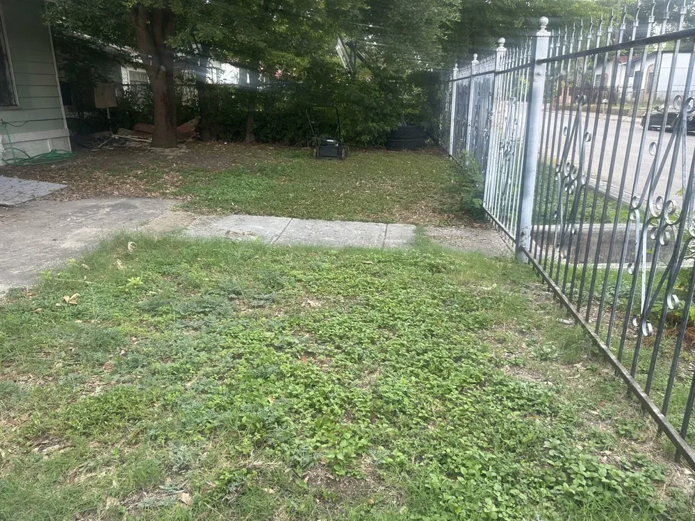 Affordable lawn care service experts serving San Antonio, TX - Abby & Mike Landscaping