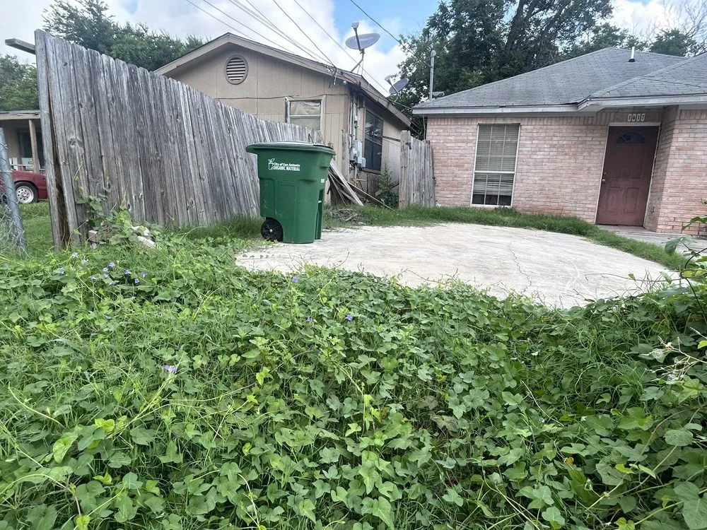 Expert yard maintenance with custom design across San Antonio, TX - Abby & Mike Landscaping