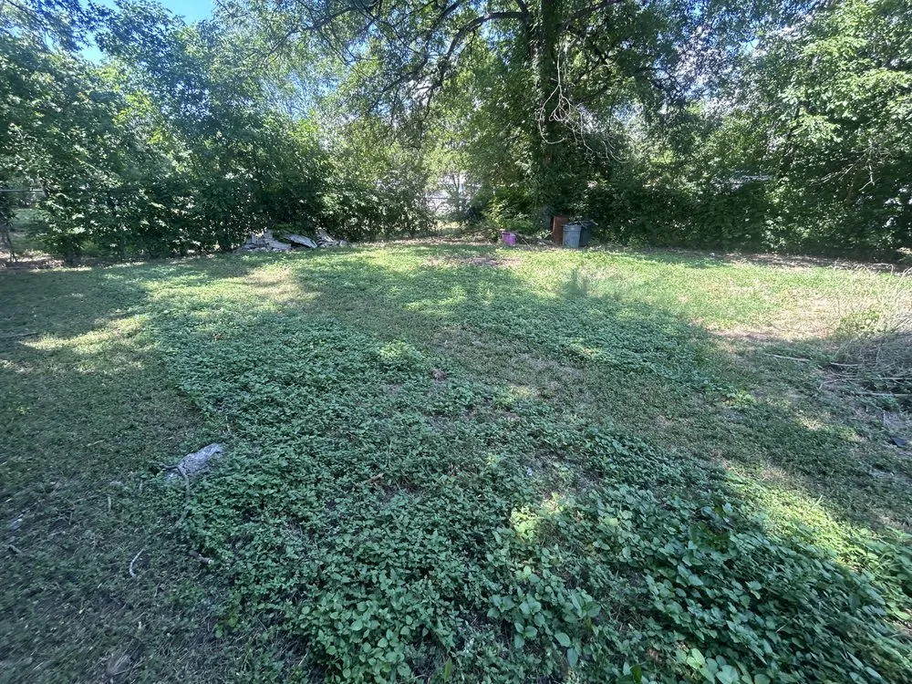 Custom yard maintenance experts serving San Antonio, TX - Abby & Mike Landscaping