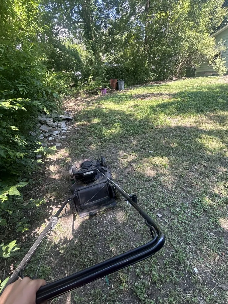 Affordable yard cleanup service in San Antonio, TX - Abby & Mike Landscaping