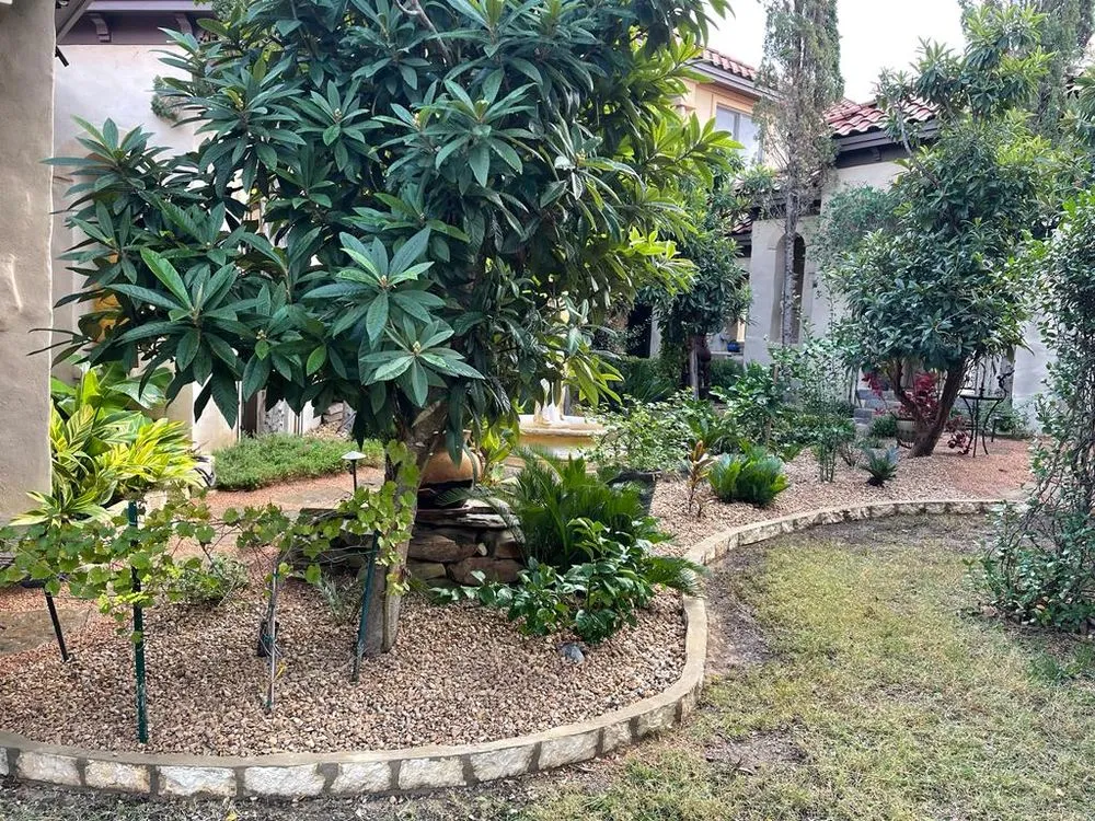 Reliable landscaping services near you across Austin, TX - Abby hp landscape
