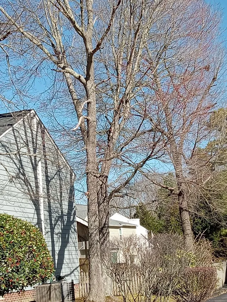 Trusted landscaping services in Gordonsville, VA - Abbys Dads Tree and Landscaping