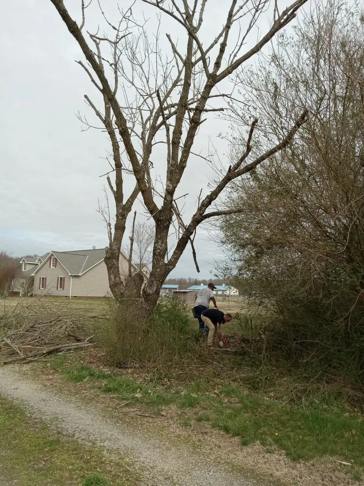Custom yard cleanup service for beautiful yards in Gordonsville, VA by Abbys Dads Tree and Landscaping