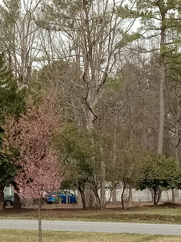 Local landscape installation in Gordonsville, VA by Abbys Dads Tree and Landscaping