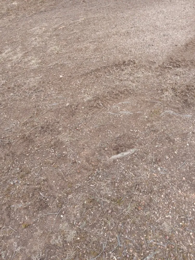 Custom landscaping services in Gordonsville, VA - Abbys Dads Tree and Landscaping