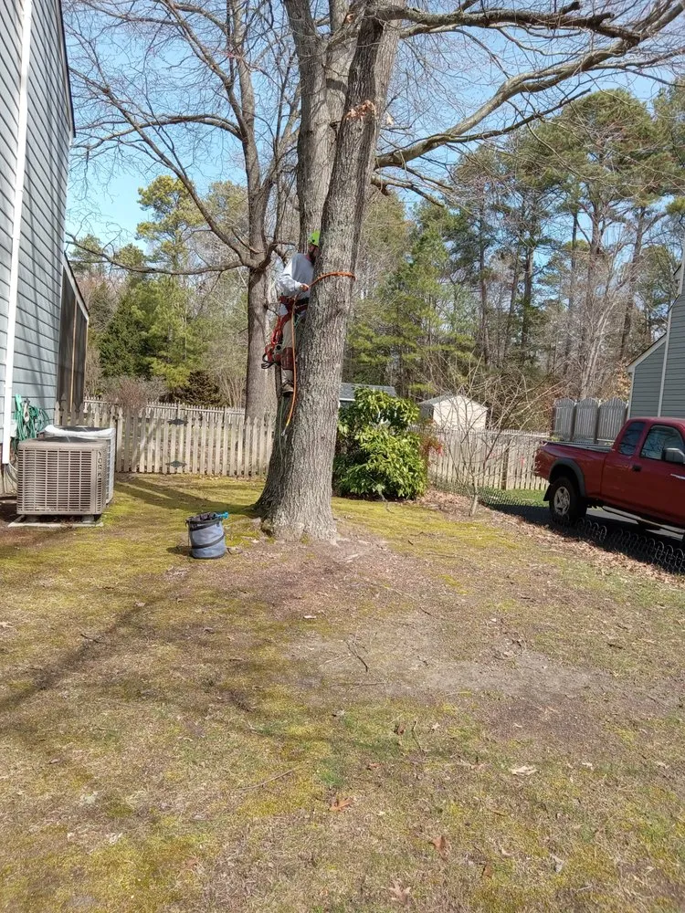 Local lawn care service for residential properties in Gordonsville, VA by Abbys Dads Tree and Landscaping