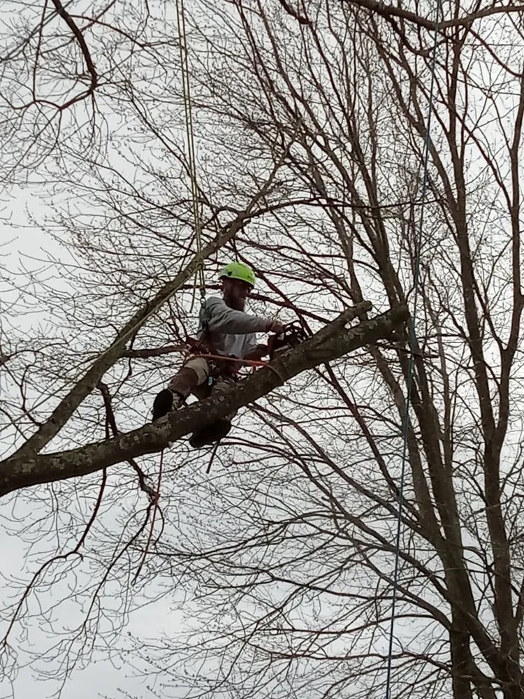 Trusted garden landscaping in Gordonsville, VA by Abbys Dads Tree and Landscaping