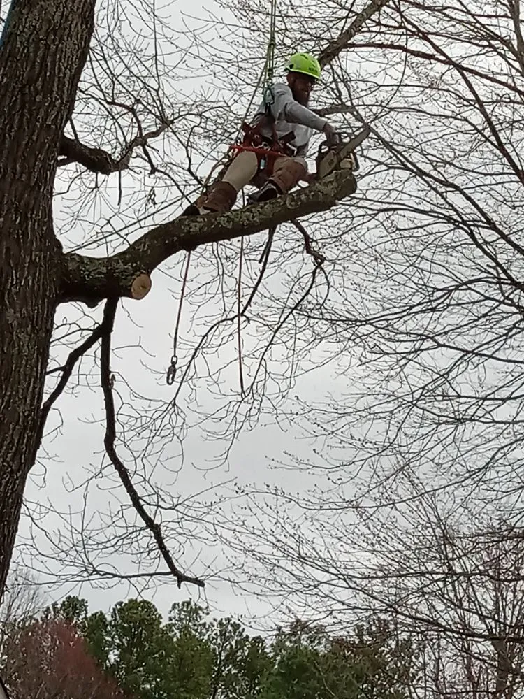 Top-rated garden landscaping experts serving Gordonsville, VA - Abbys Dads Tree and Landscaping