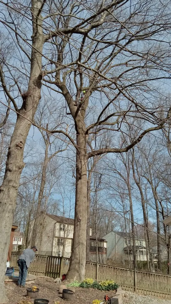 Top-rated outdoor landscaping for beautiful yards across Gordonsville, VA - Abbys Dads Tree and Landscaping