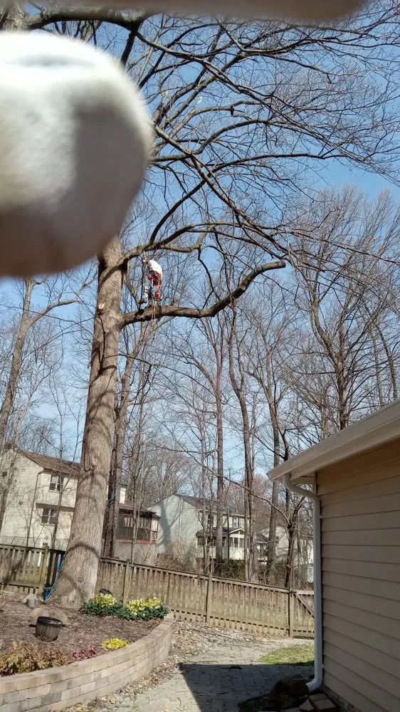 Custom garden landscaping for beautiful yards across Gordonsville, VA - Abbys Dads Tree and Landscaping